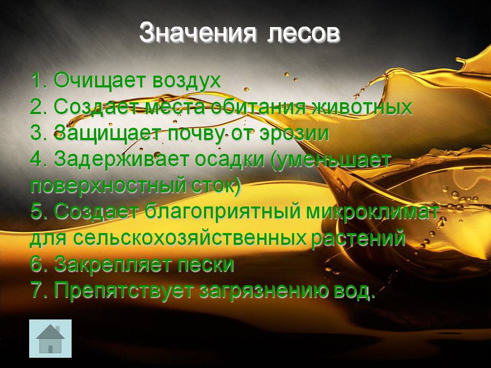 Значения лесов