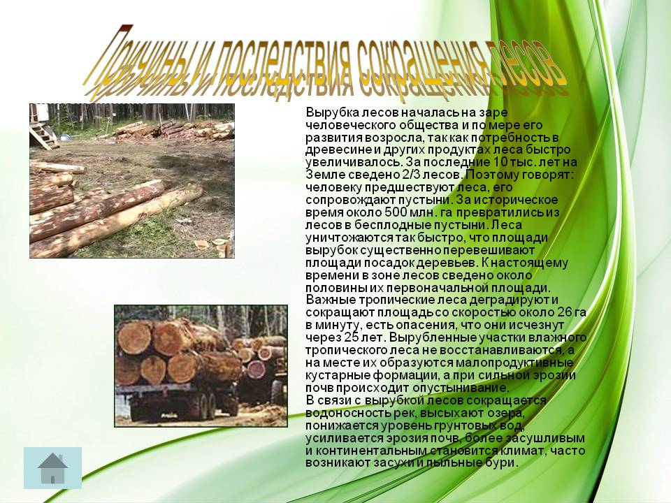 Причины и последствия сокращения лесов