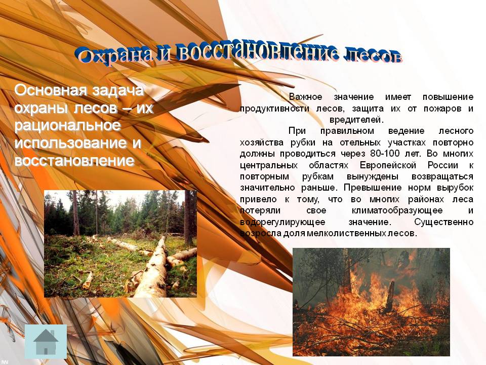 Охрана и восстановление лесов