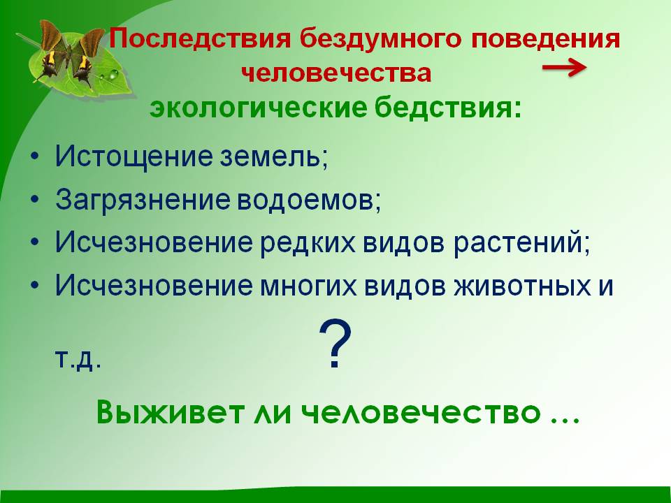 Последствия бездумного поведения человечества