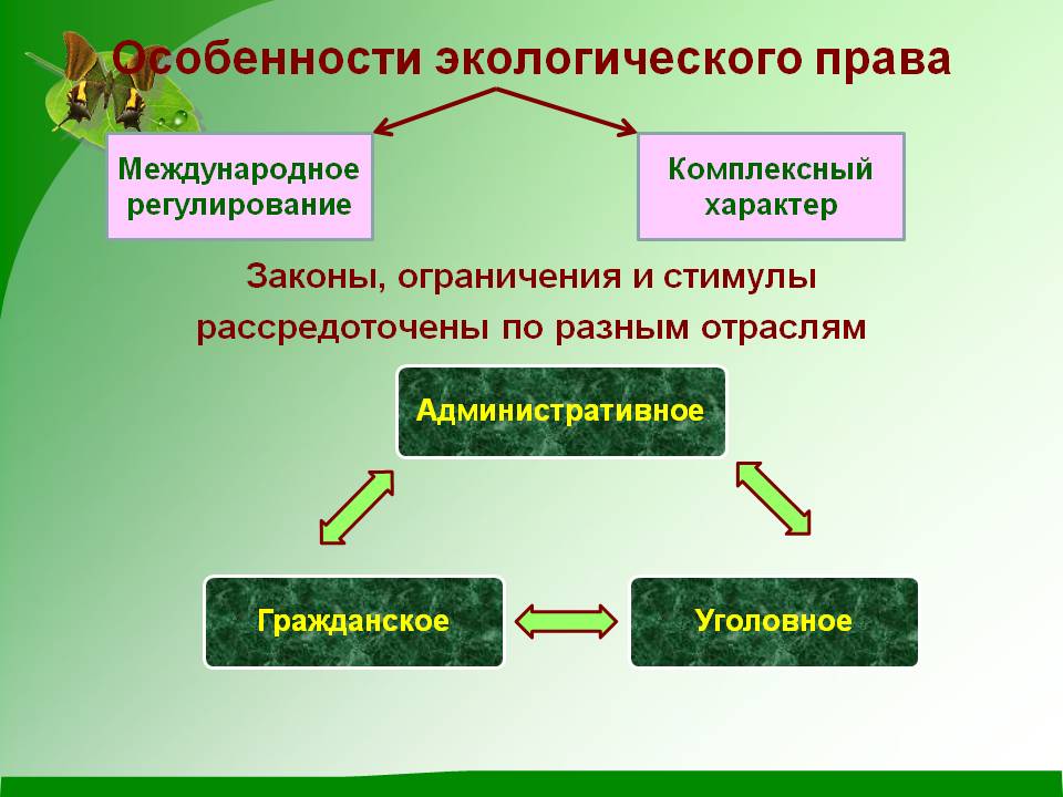 Особенности экологического права