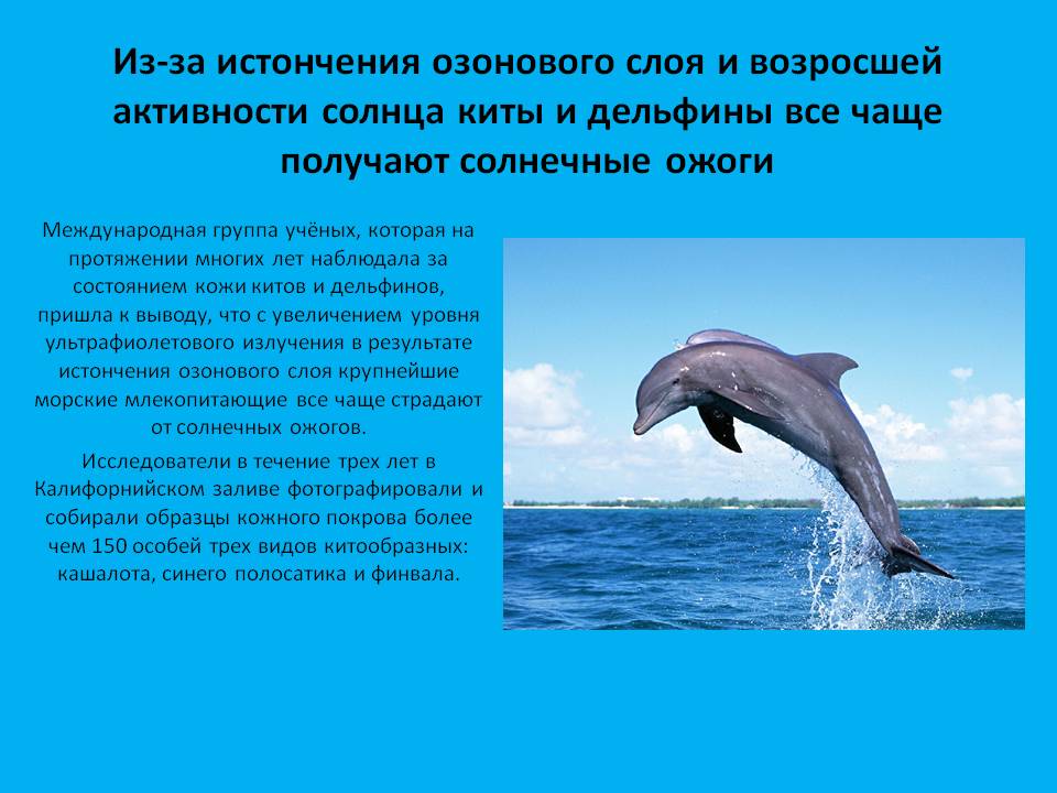 Солнечные ожоги
