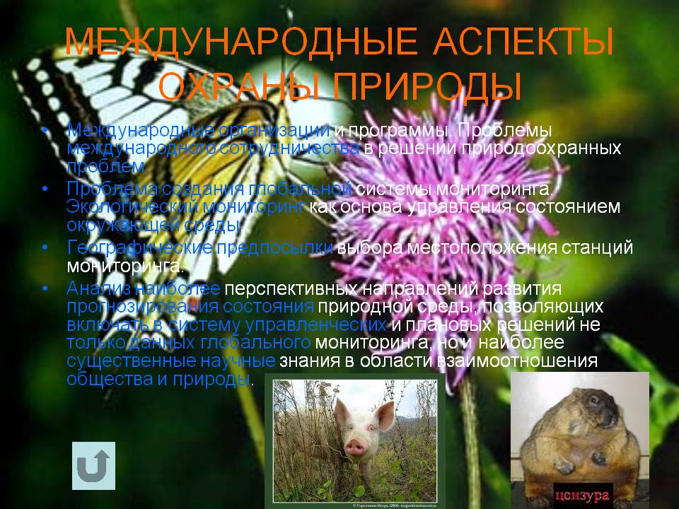 Международные аспекты охраны природы
