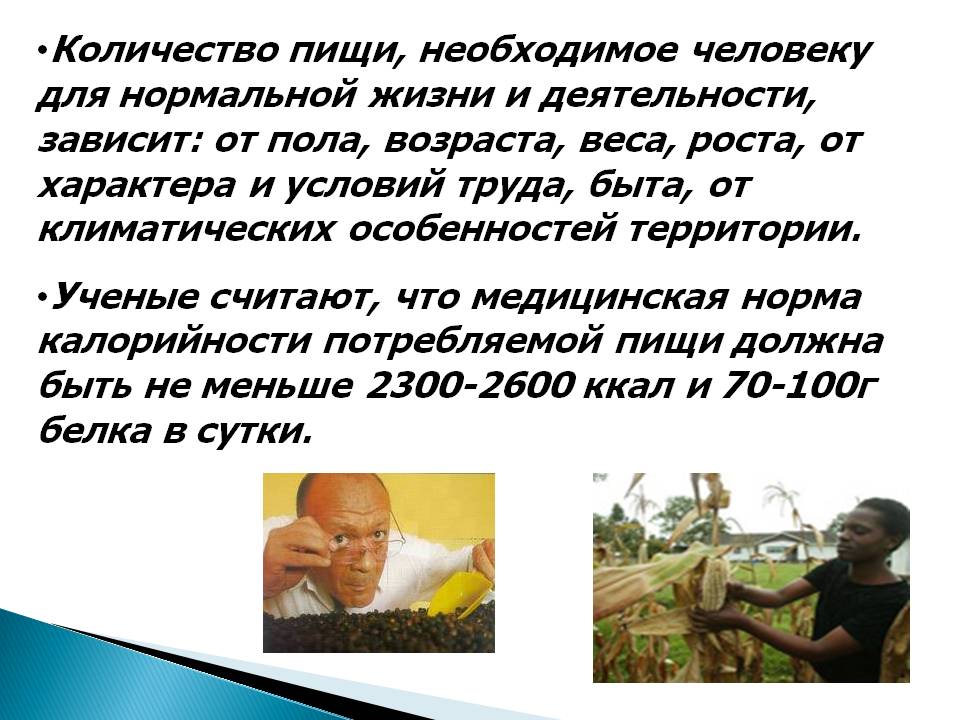 Количество пищи