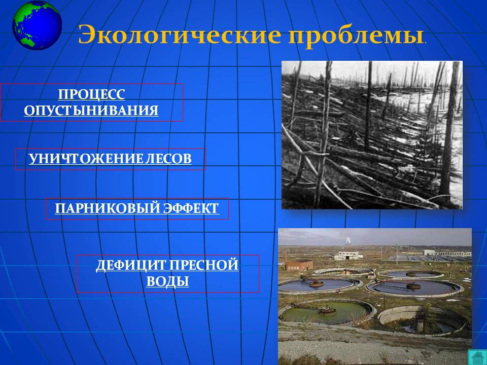 Экологические проблемы
