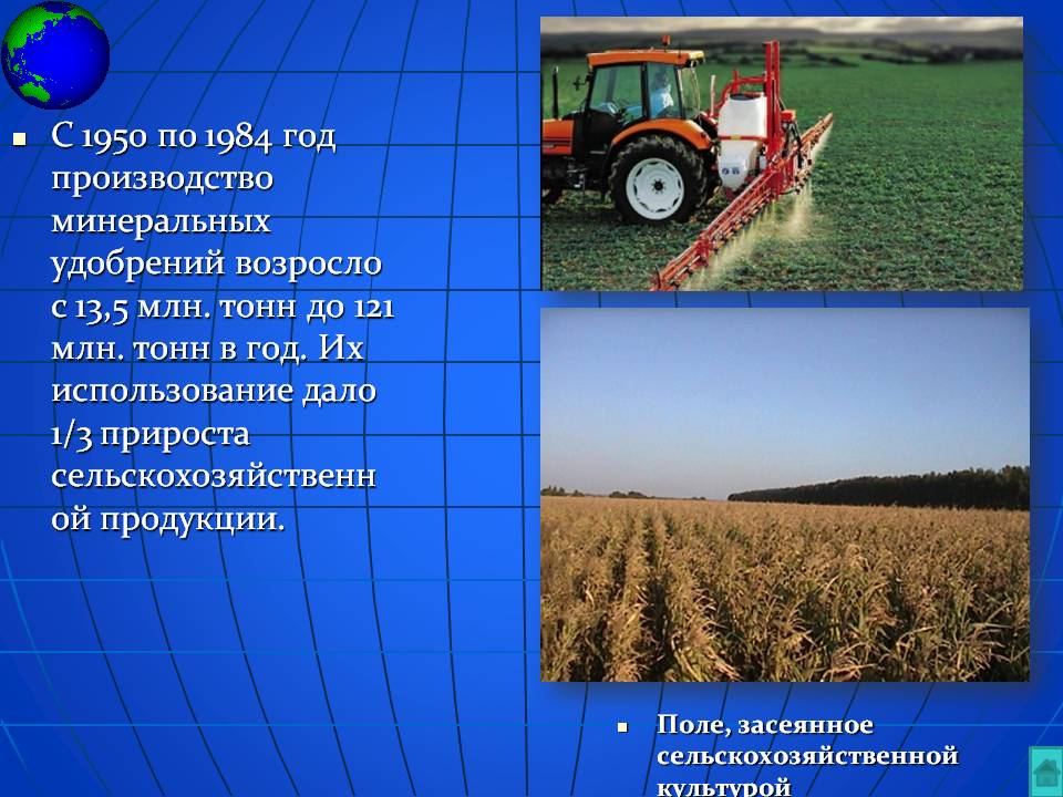 Поле, засеянное сельскохозяйственной культурой