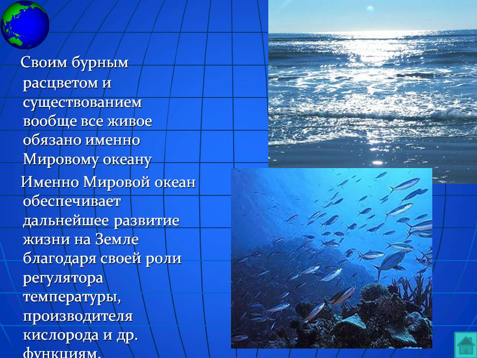 Мировой океан