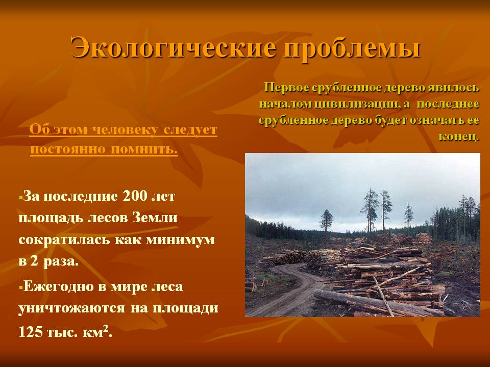Экологические проблемы
