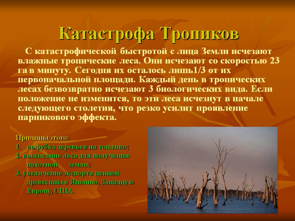Катастрофа Тропиков