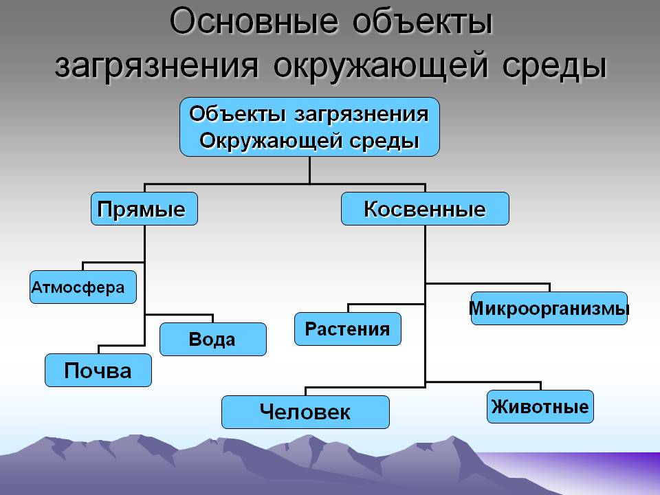 Основные объекты загрязнения окружающей среды