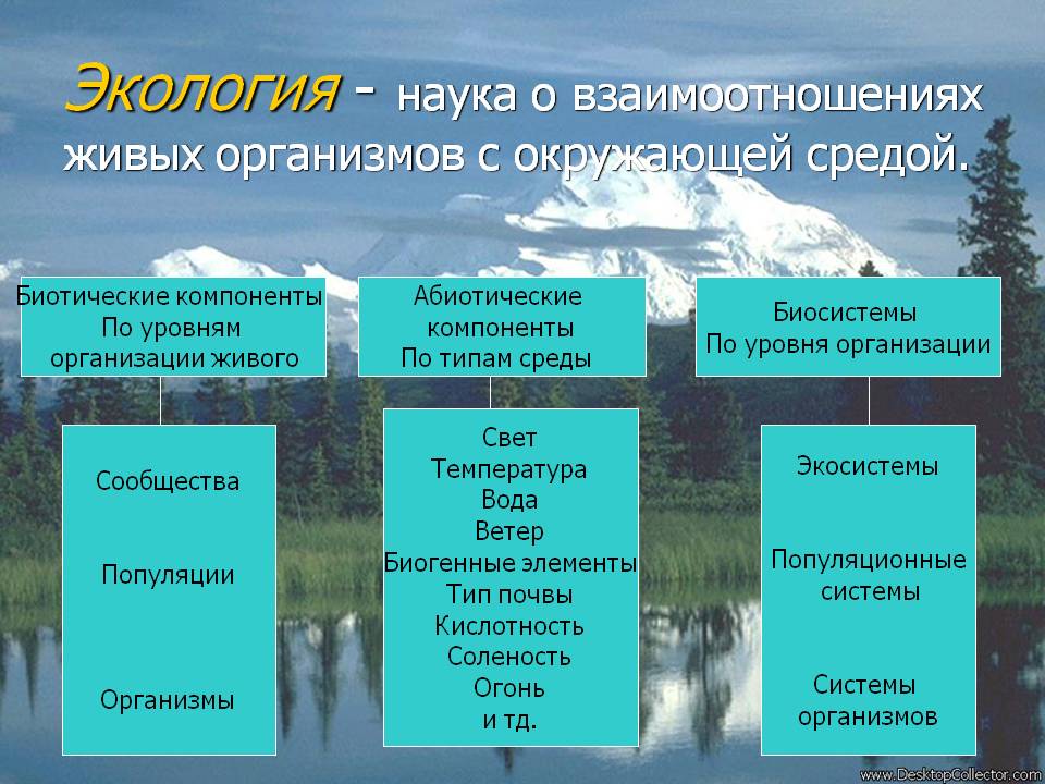 Экология - наука о взаимоотношениях живых организмов с окружающей