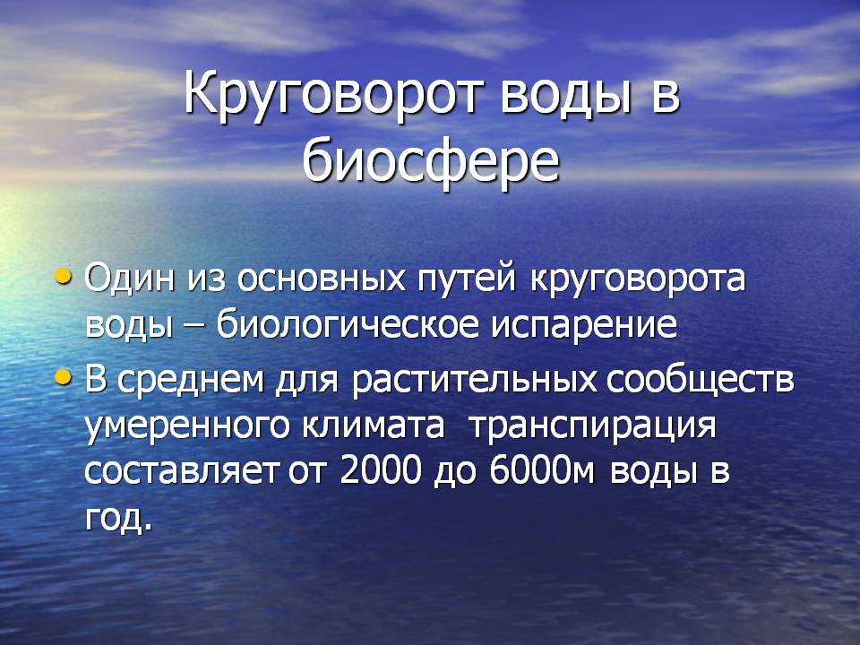 Круговорот воды в биосфере