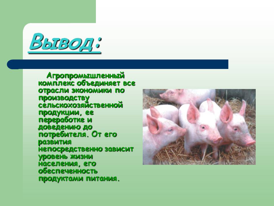 Вывод:
