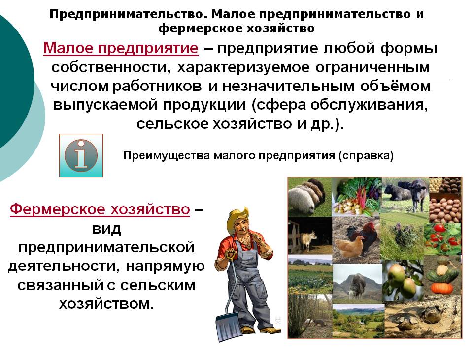 Малое предприятие