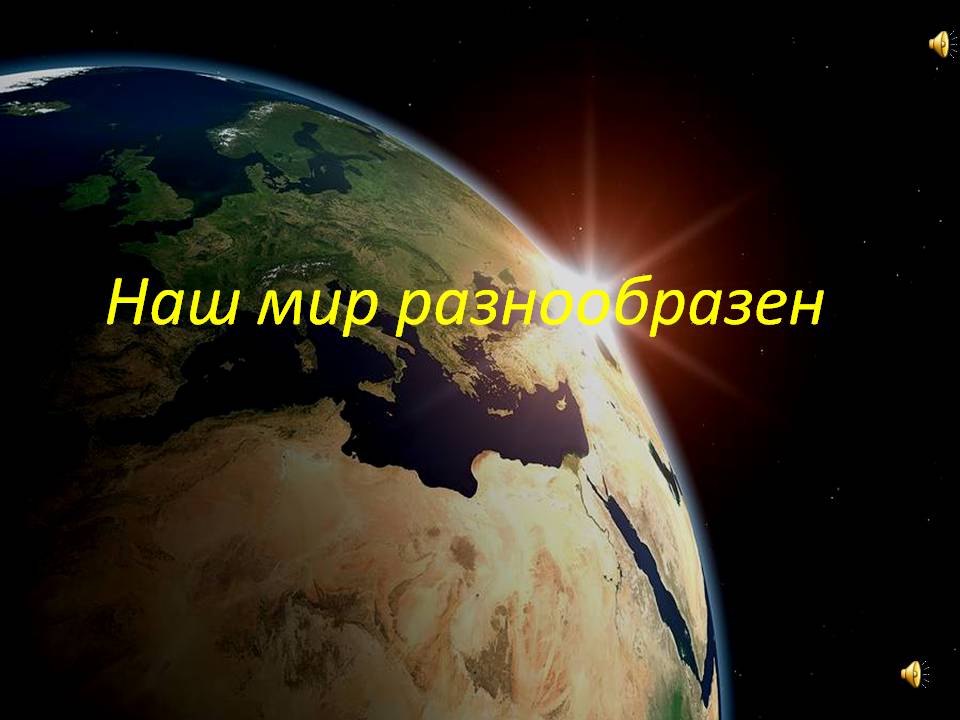 Наш мир разнообразен