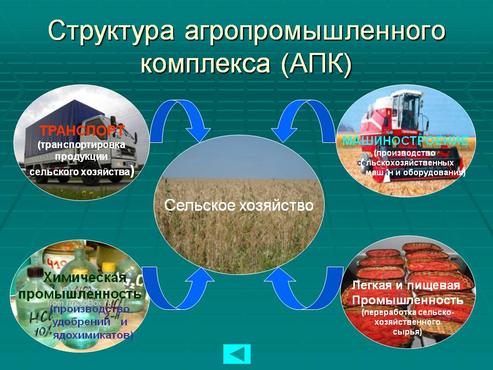 Структура агропромышленного комплекса (АПК)
