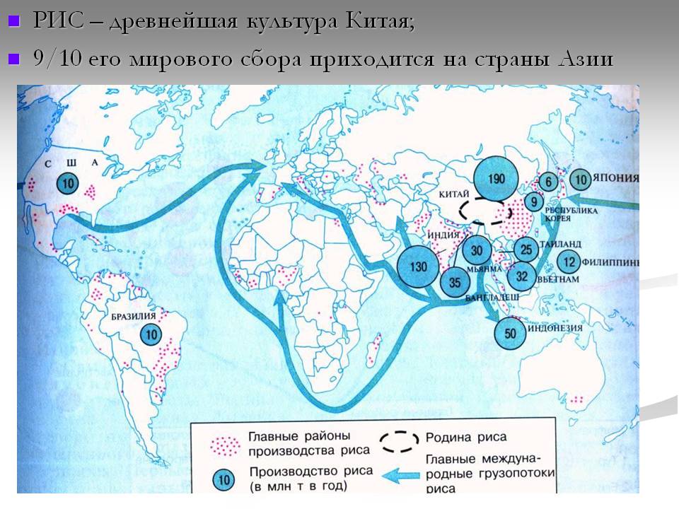РИС – древнейшая культура Китая; 9/10 его мирового сбора приходится на