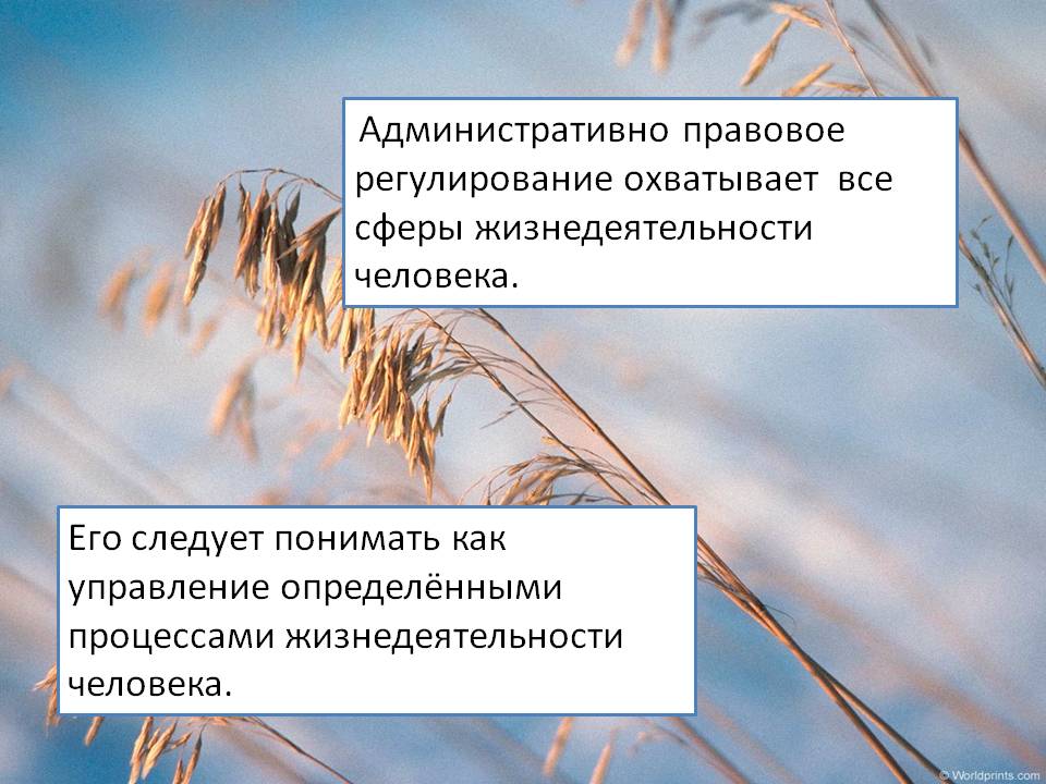 Административно правовое регулирование охватывает все сферы
