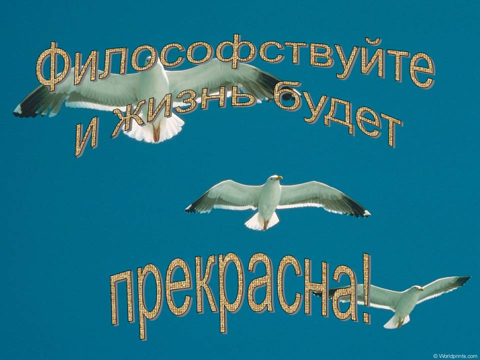 Философствуйте и жизнь будет прекрасна