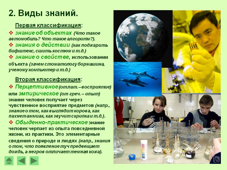 Виды знаний