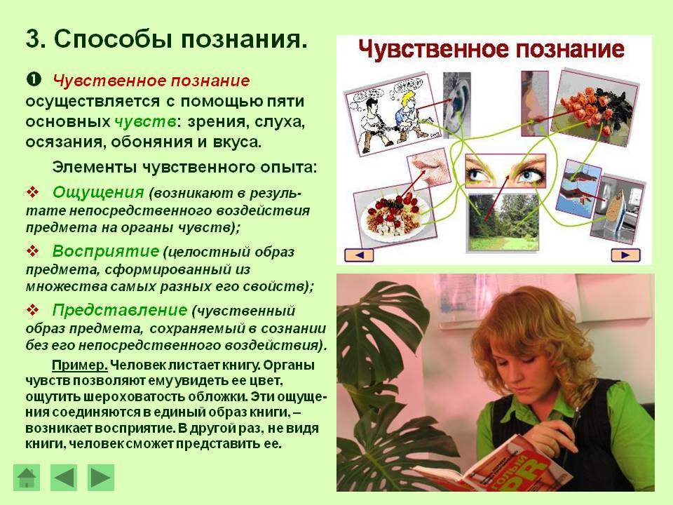 Способы познания