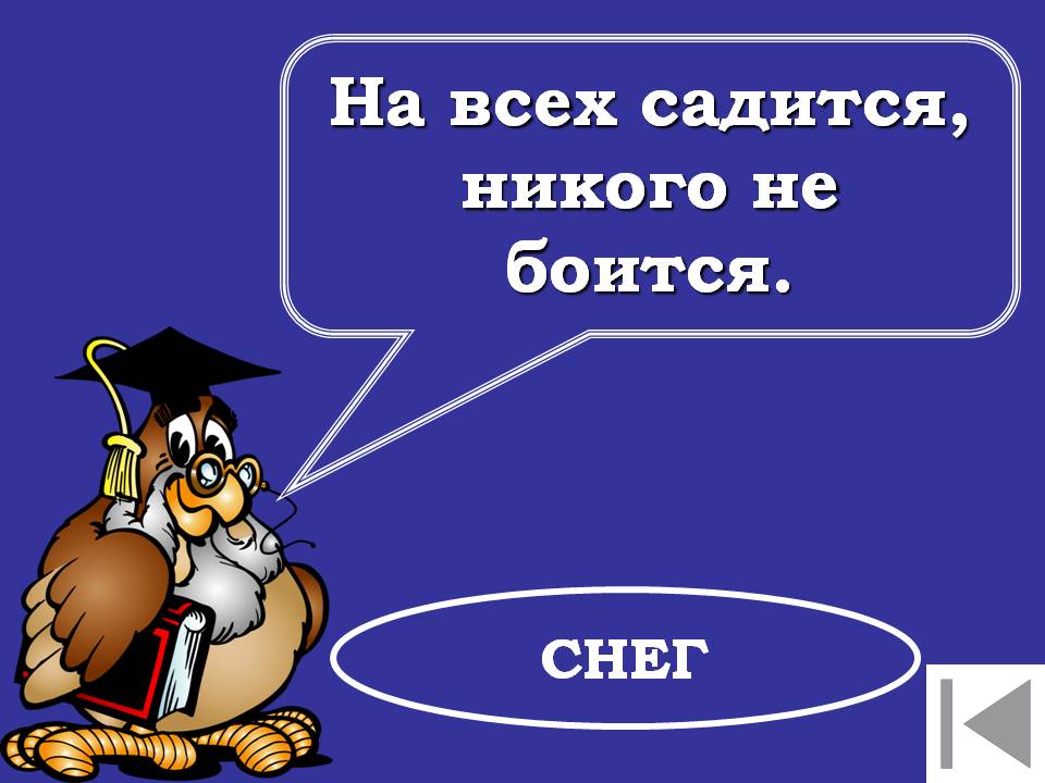 Снег