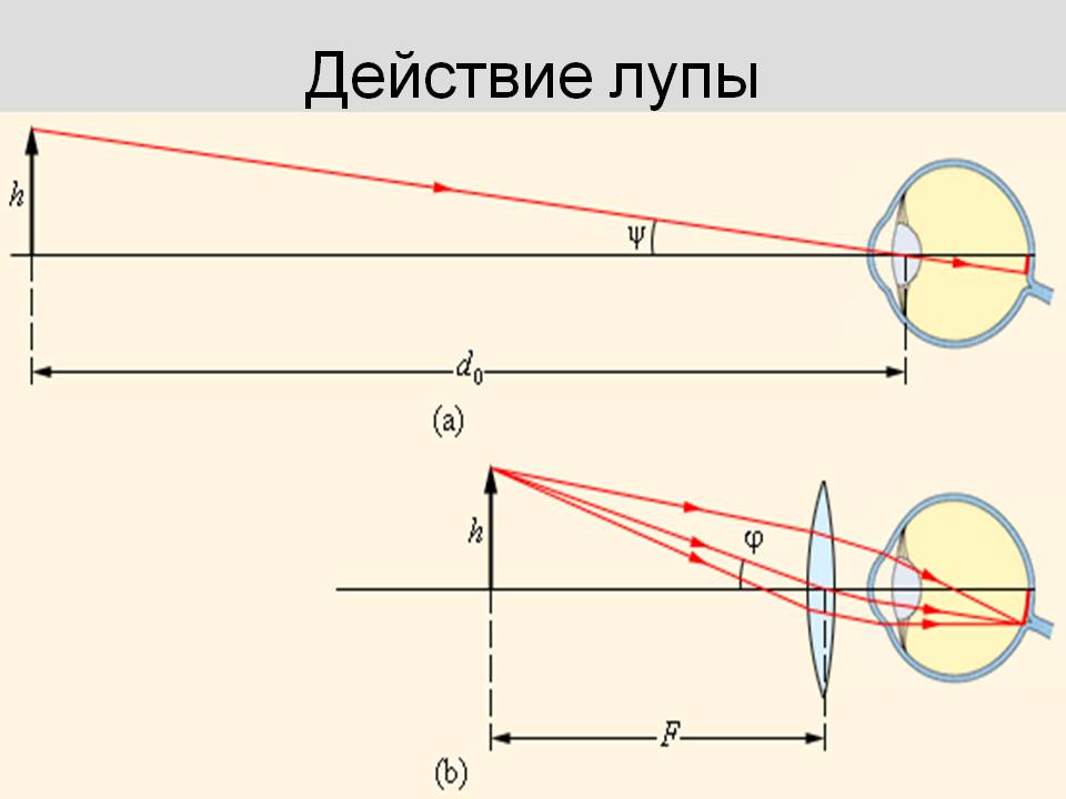 Действие лупы
