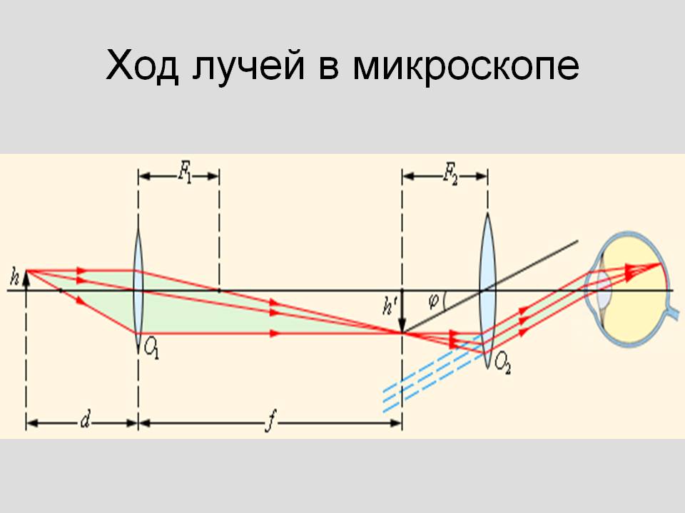 Ход лучей в микроскопе