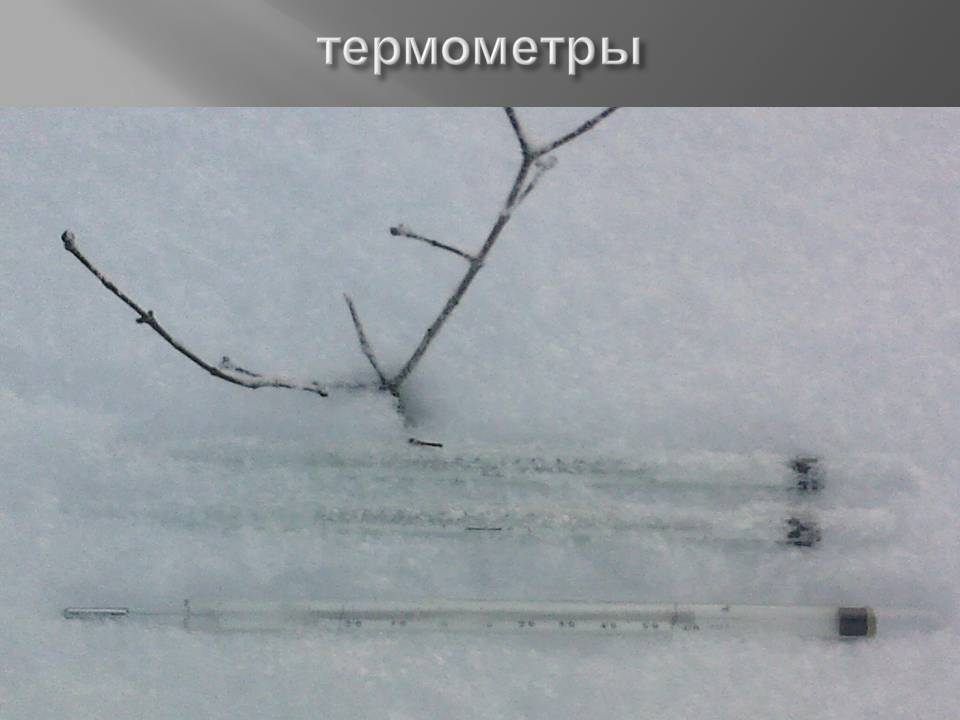 Термометры