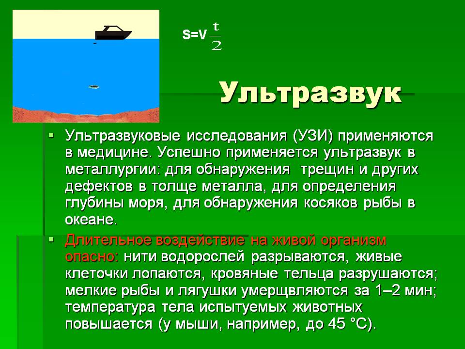 Ультразвук