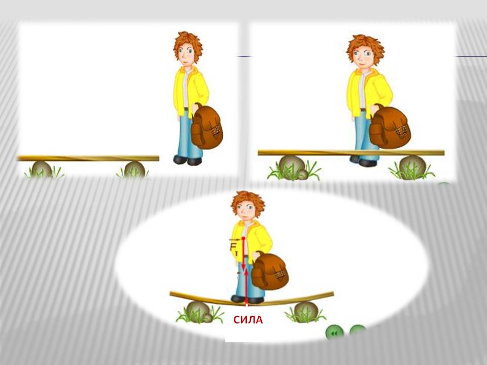 Сила физика