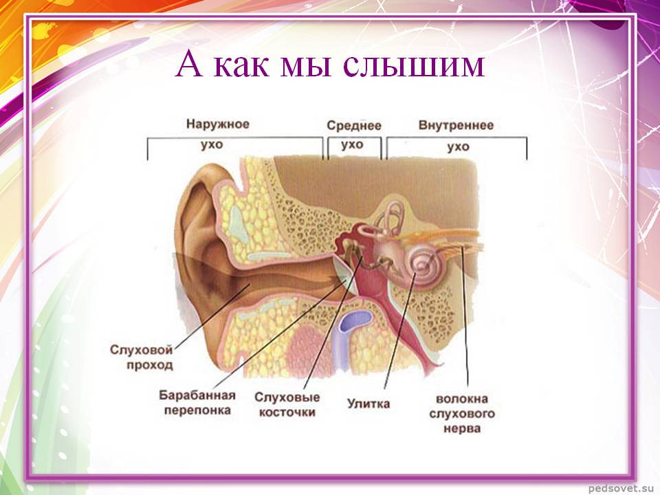 А как мы слышим