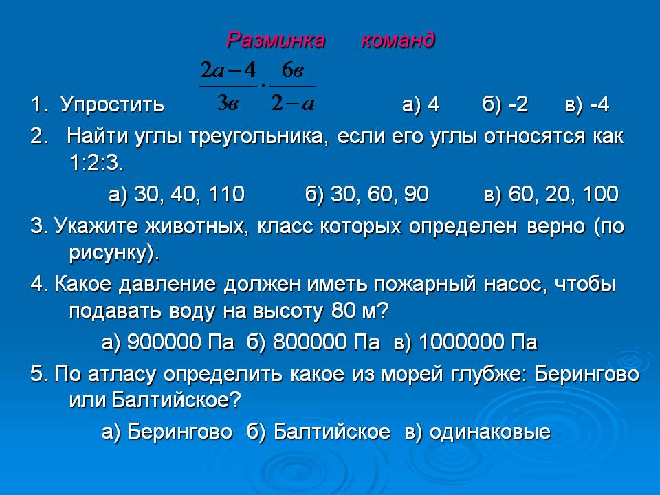 Разминка команд