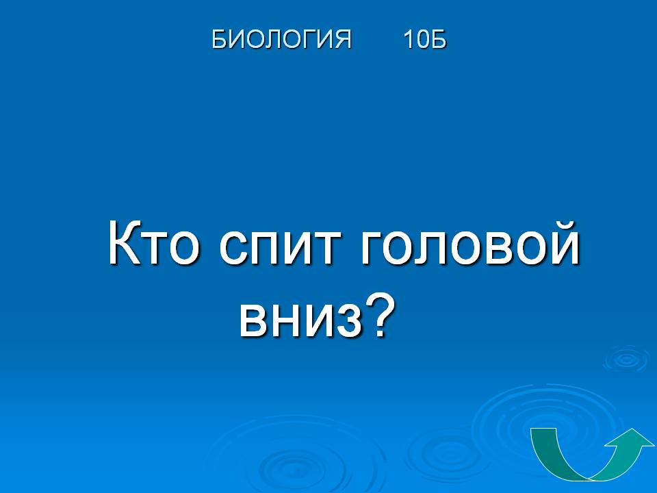 Кто спит головой вниз