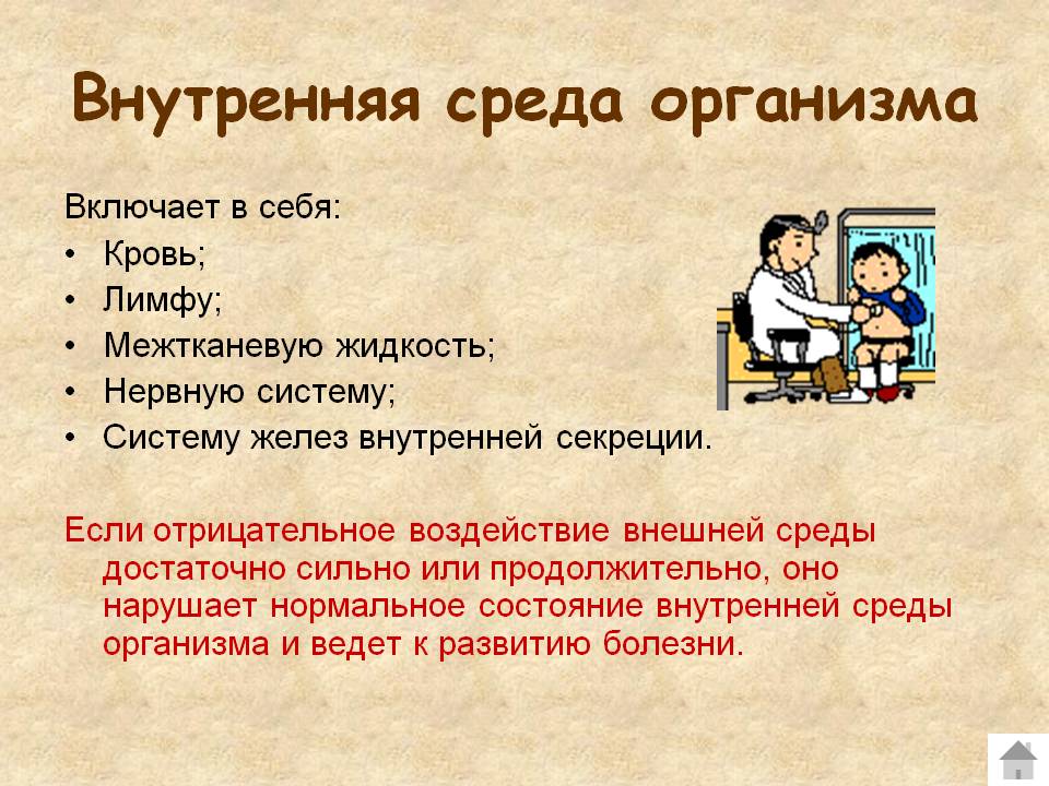Внутренняя среда организма