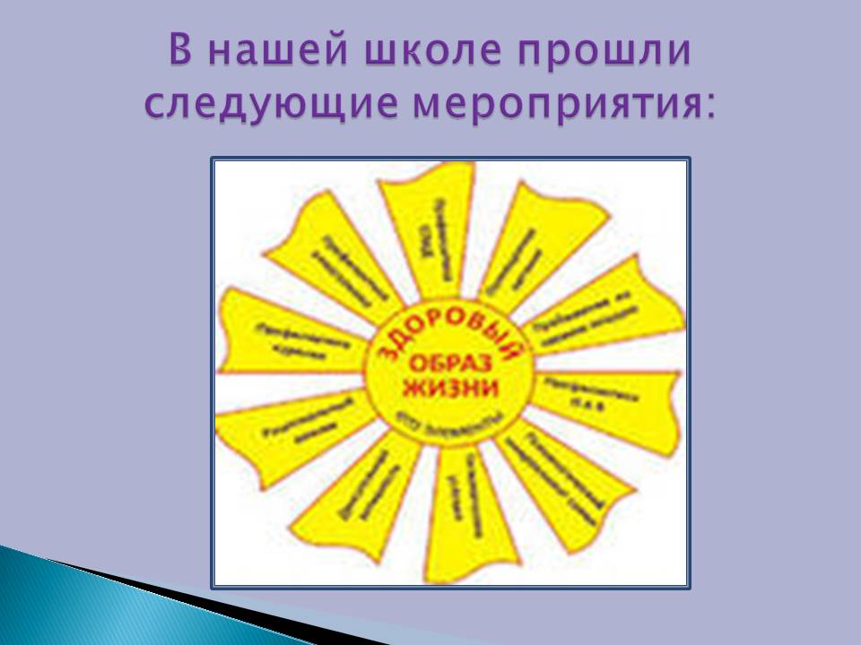 В нашей школе прошли следующие мероприятия: