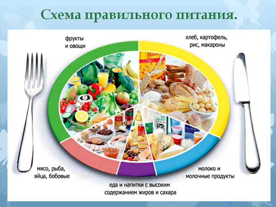 Схема правильного питания
