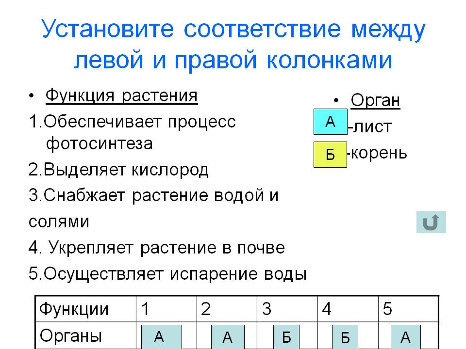Установите соответствие