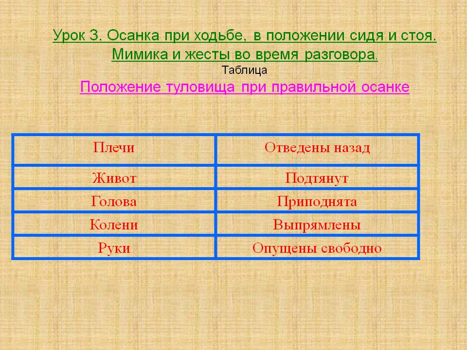 Осанка