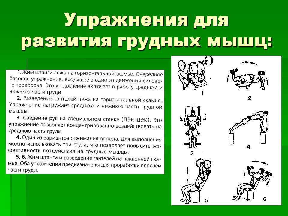 Упражнения для развития грудных мышц