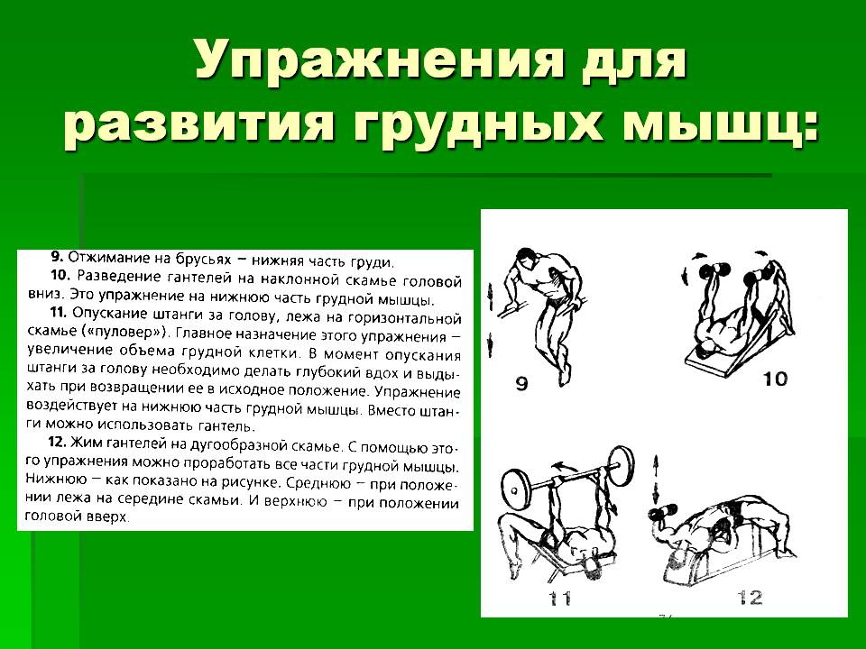 Упражнения для развития грудных мышц