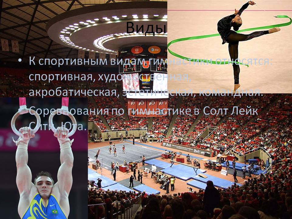 Виды