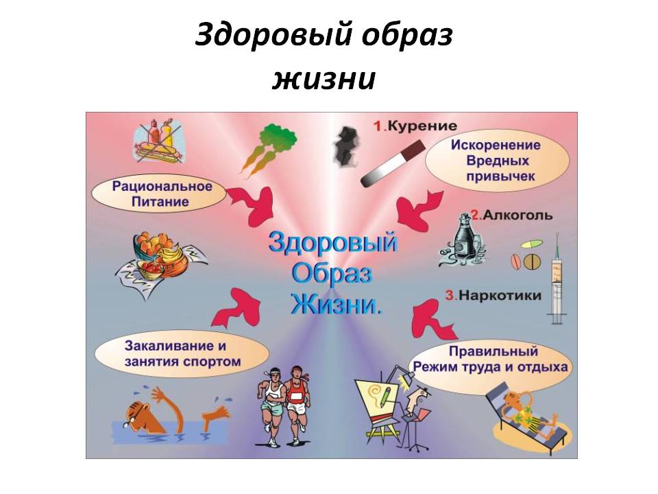Здоровый образ жизни