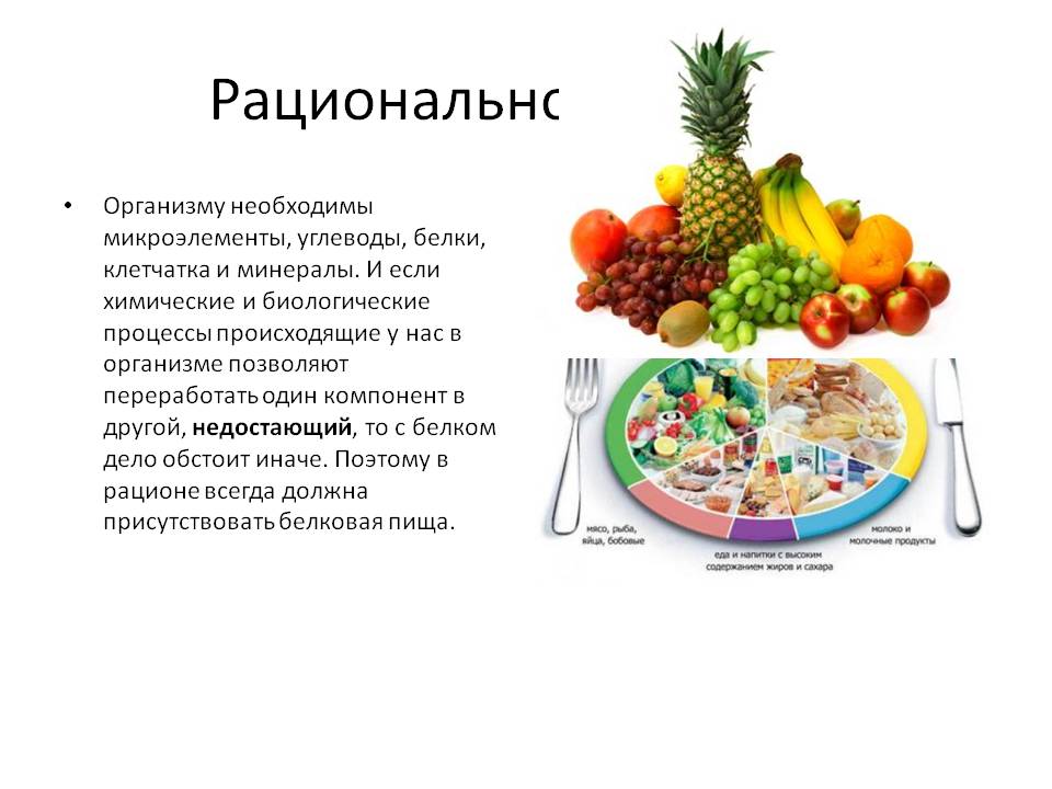 Рациональное питание
