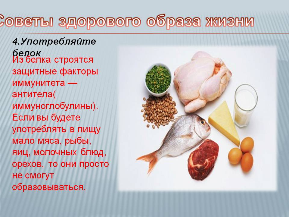 Употребляйте белок