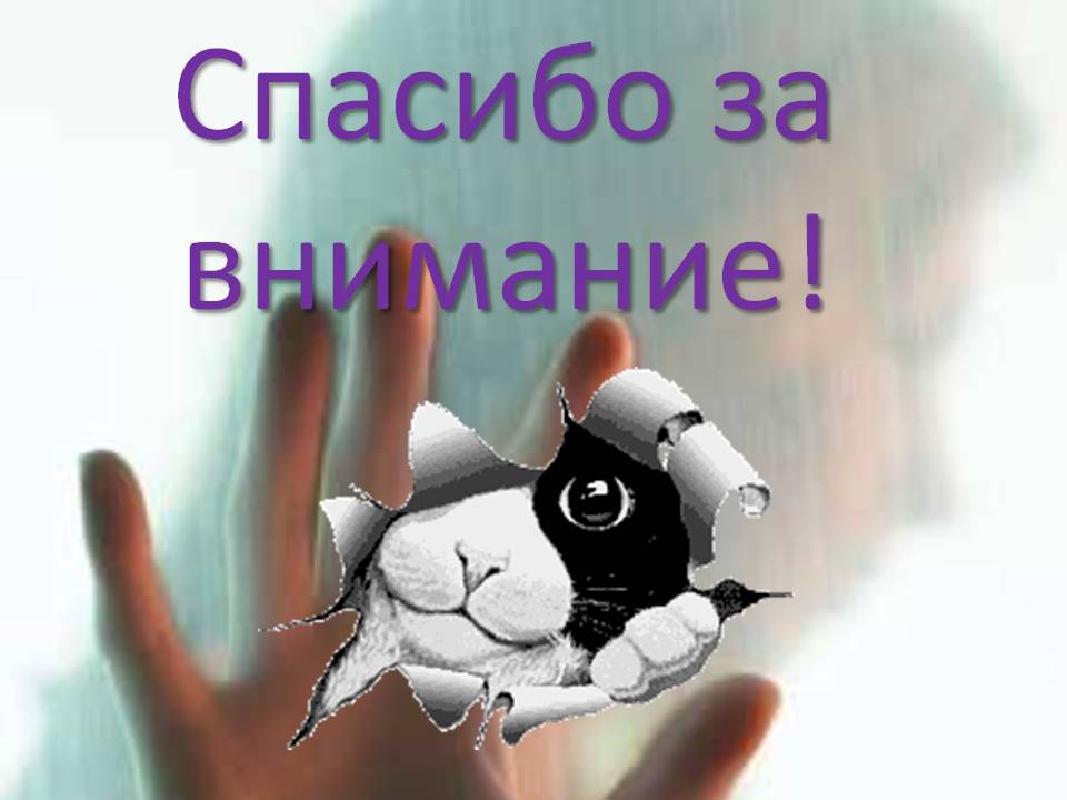Спасибо за внимание