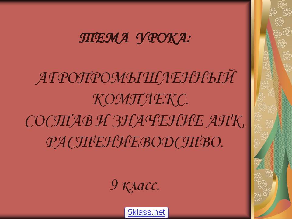 ТЕМА УРОКА: АГРОПРОМЫШЛЕННЫЙ КОМПЛЕКС