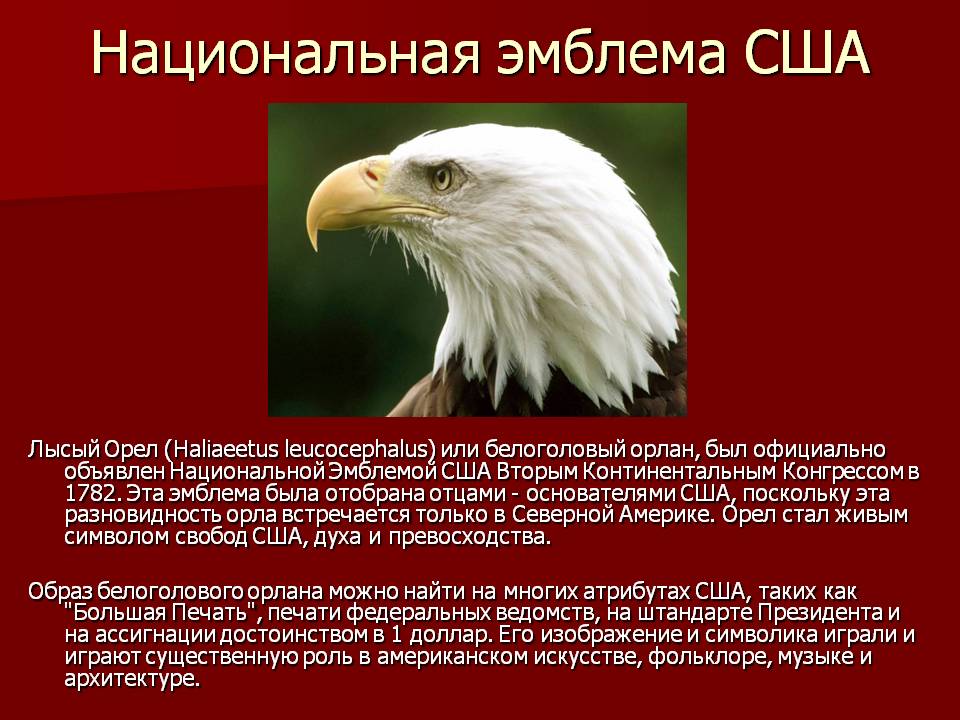 Национальная эмблема США