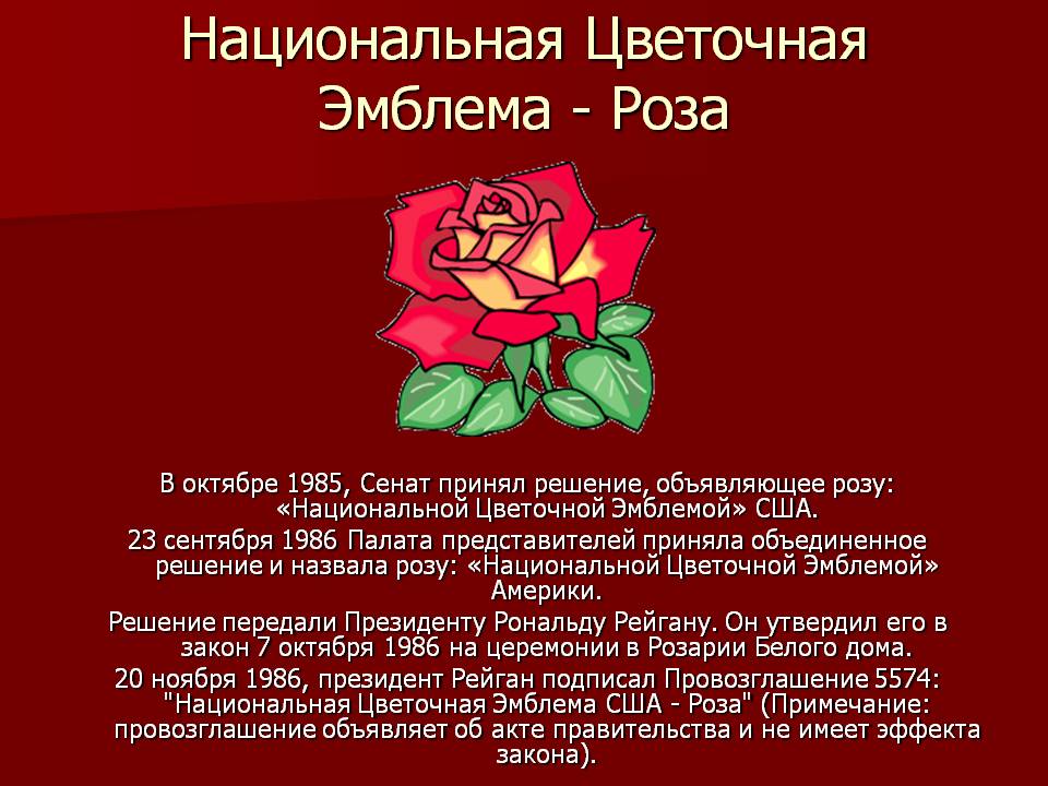 Национальная Цветочная Эмблема - Роза