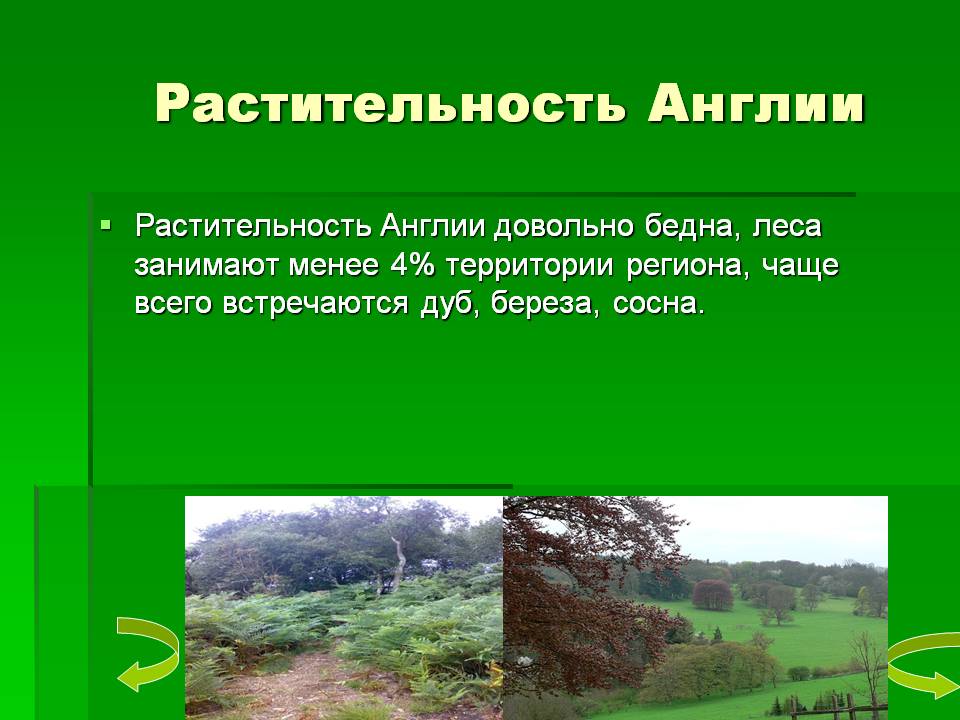 Растительность Англии